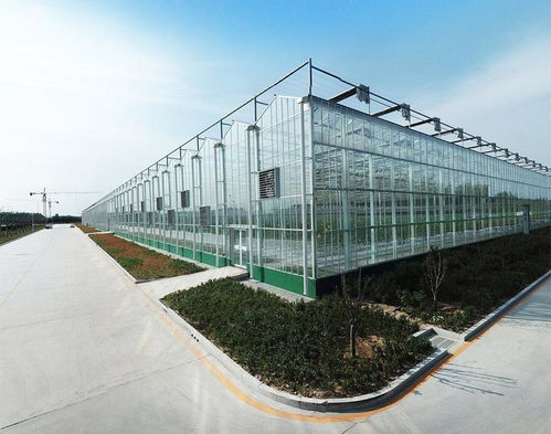 豐貿溫室公司 專業打造日照溫室大棚工程，提供一站式安裝服務