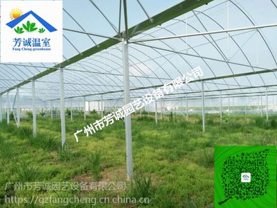 標(biāo)準(zhǔn)連棟拱棚建設(shè)成本解析 薄膜溫室工程的投入與安裝服務(wù)要點(diǎn)